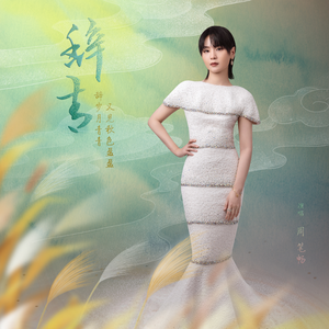 旅馆嫖熟农村女人
