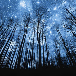 旅馆嫖熟农村女人
